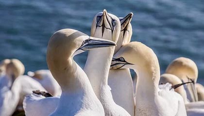 2025年最新正规捐卵机构怎么联系推荐(今日分享捐卵在线咨询)